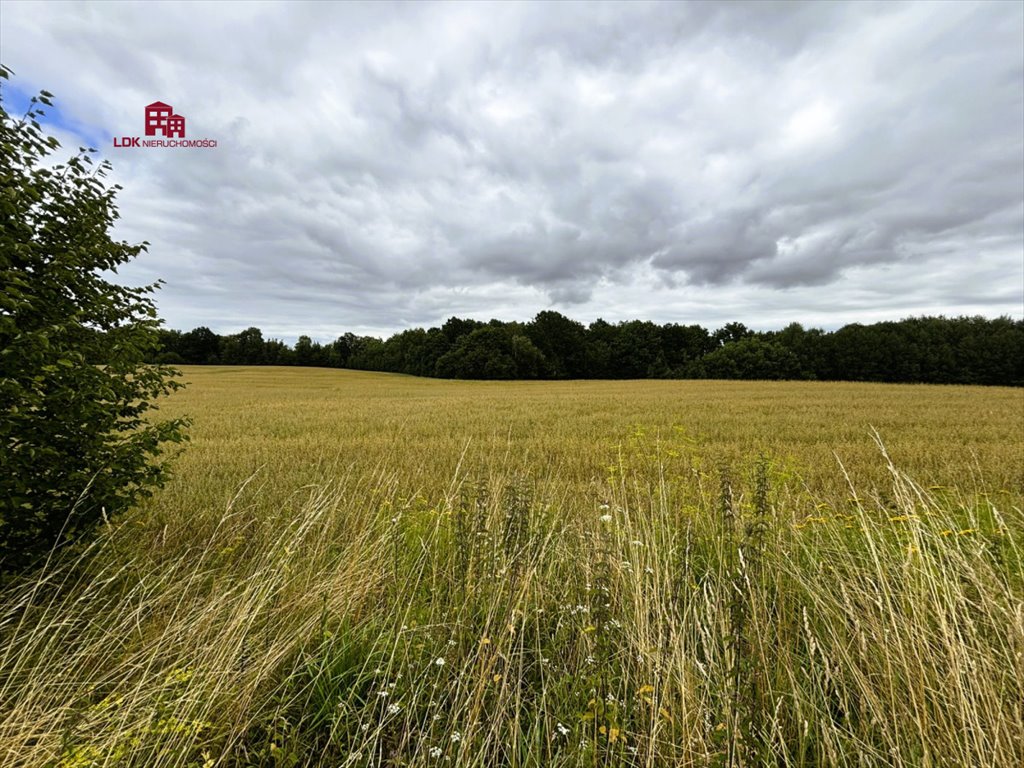 Działka siedliskowa na sprzedaż Mierzeszyn, Gdańska  16 681m2 Foto 7