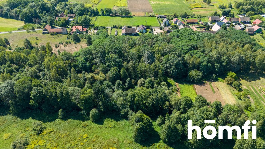 Działka inna na sprzedaż Masłowiec  3 000m2 Foto 4