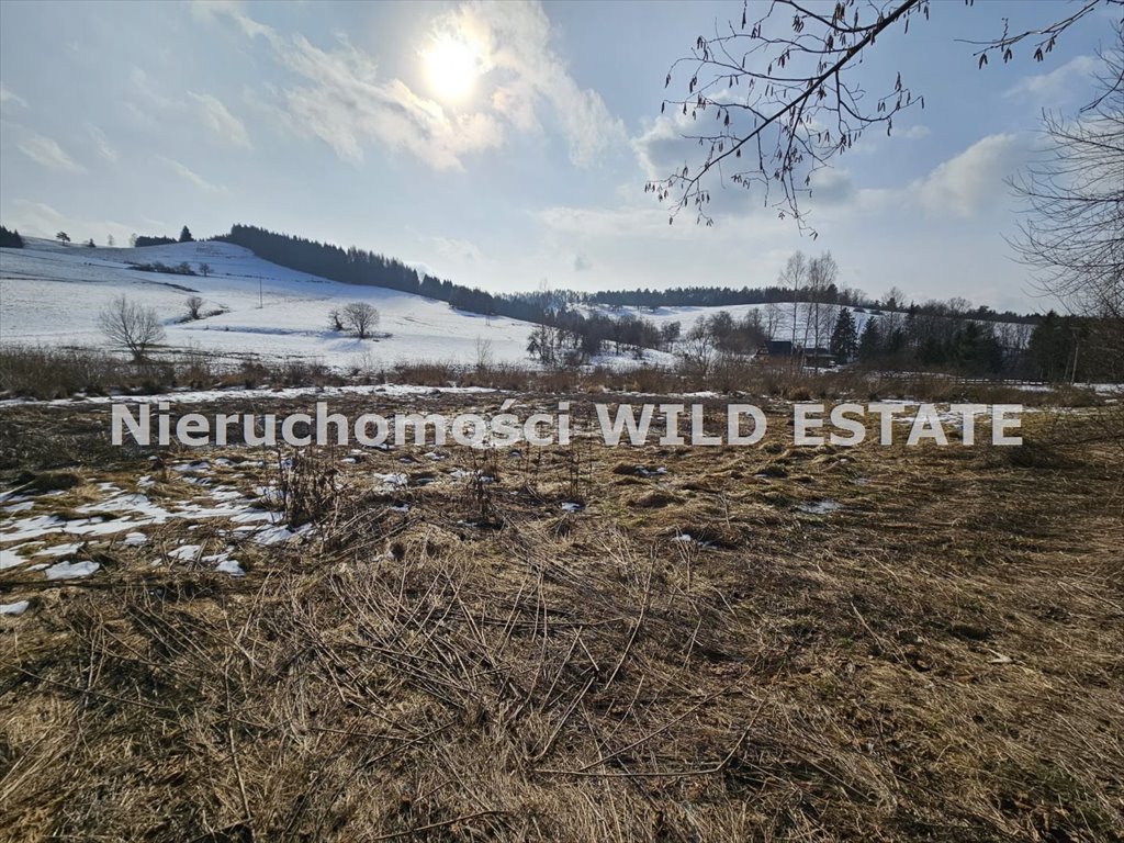 Działka 6 466 m² w Brelikowie (blisko natury i mediów) Ustrzyki Dolne, Brelików  6 466m2 Foto 1