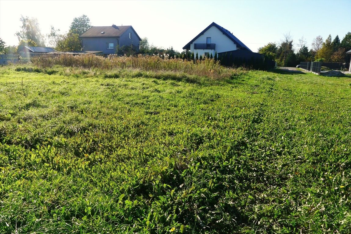 Działka inna na sprzedaż Cedrowice  1 000m2 Foto 4