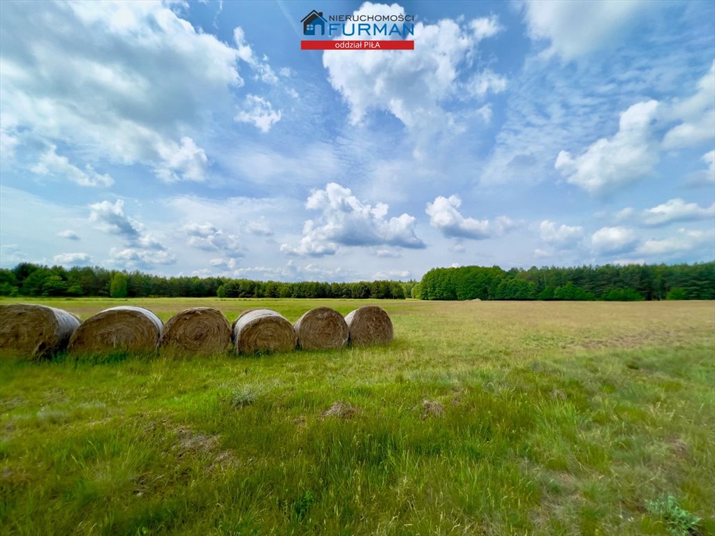 Sprzedam działkę 6 534 m² z lasem i jeziorem w Straduni Straduń  6 534m2 Foto 1