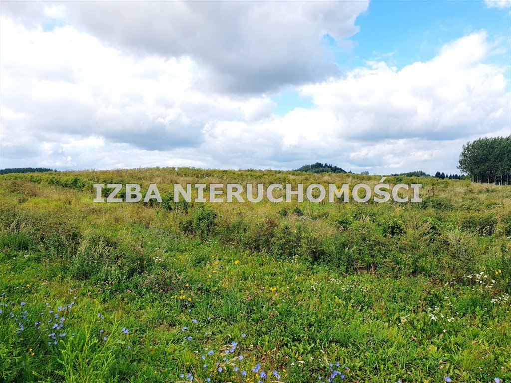 Działka budowlana na sprzedaż Chruściele  3 000m2 Foto 16