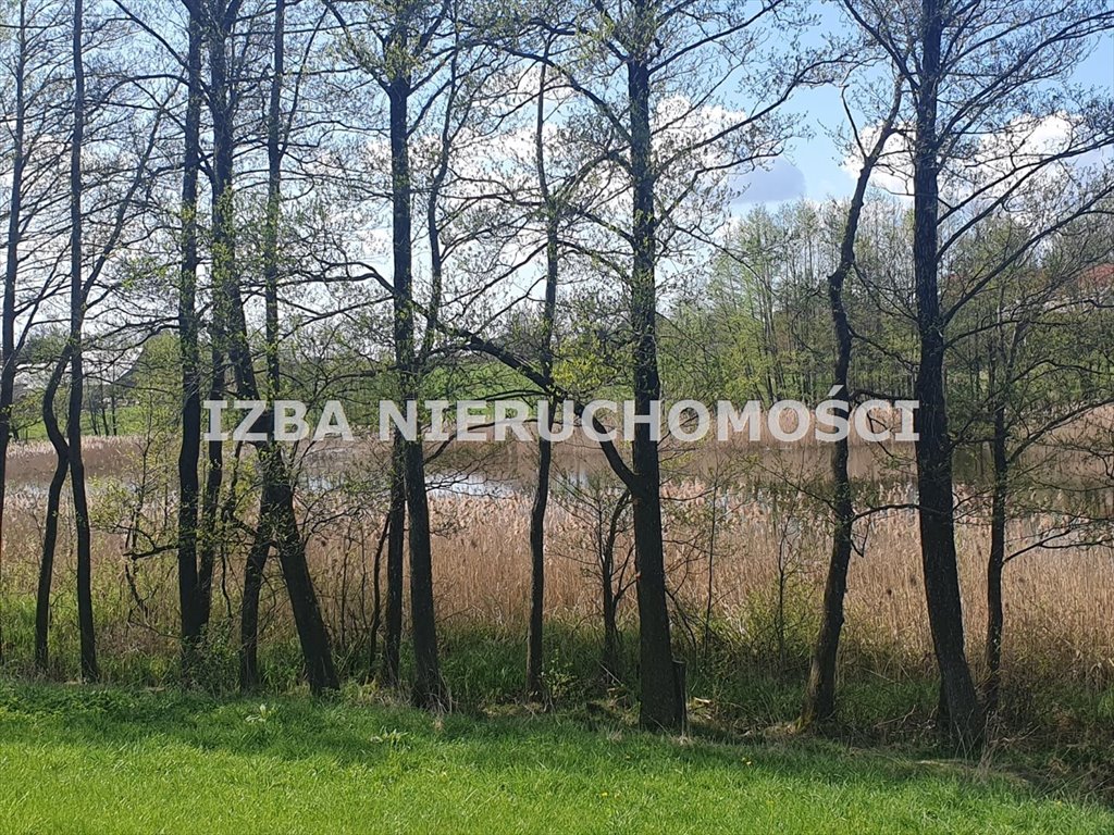 Działka rekreacyjna na sprzedaż Grabnik  3 000m2 Foto 9