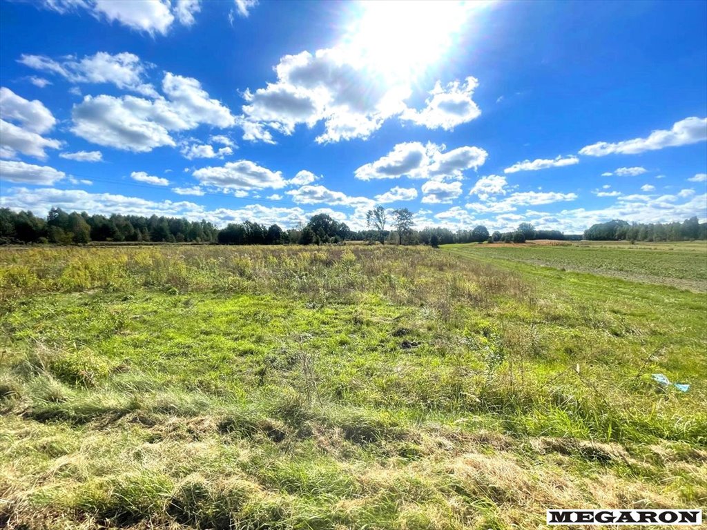 Zapraszam do obejrzenia dużej działki rolnej 7 260 m² w Rusinowie Jamno, Rusinów  7 260m2 Foto 1