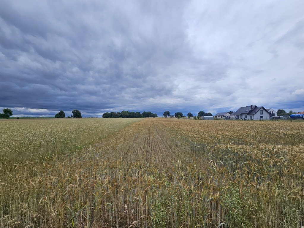 Działka budowlana na sprzedaż Wojcieszyce  1 100m2 Foto 1