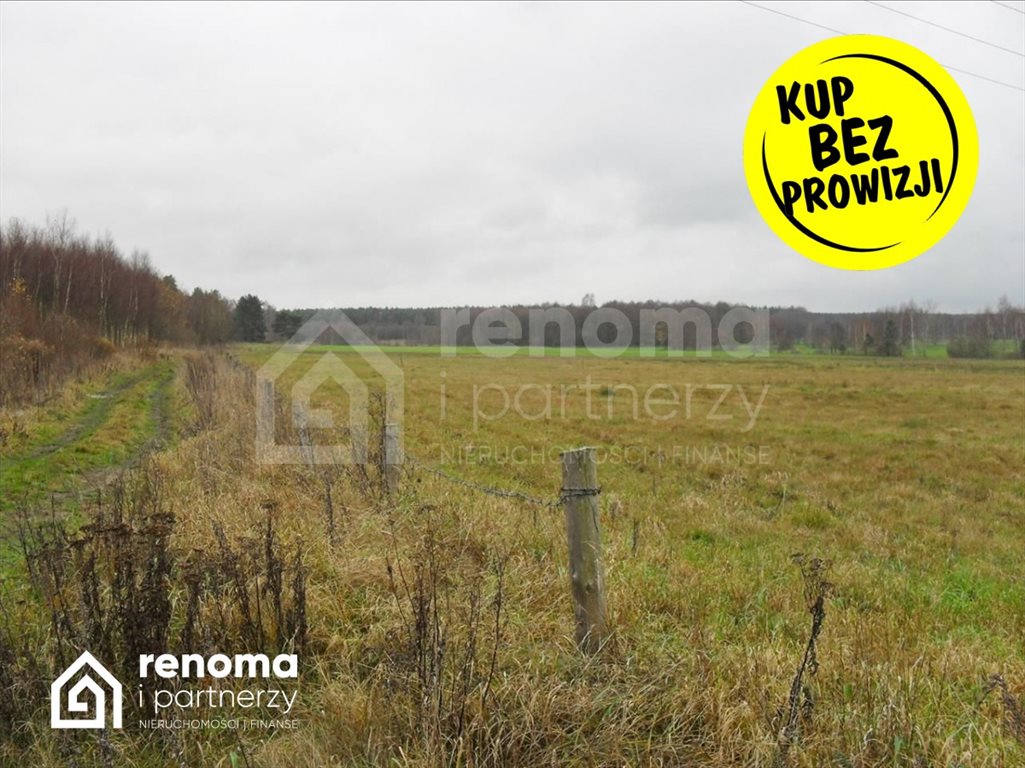 Działka siedliskowa na sprzedaż Kawno  11 900m2 Foto 2