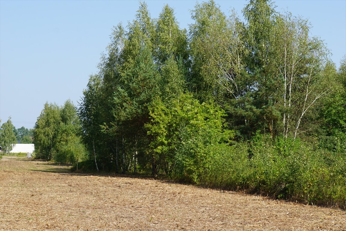 Działka budowlana na sprzedaż Sulejówek, Żurawka, Brzezińska  4 300m2 Foto 2