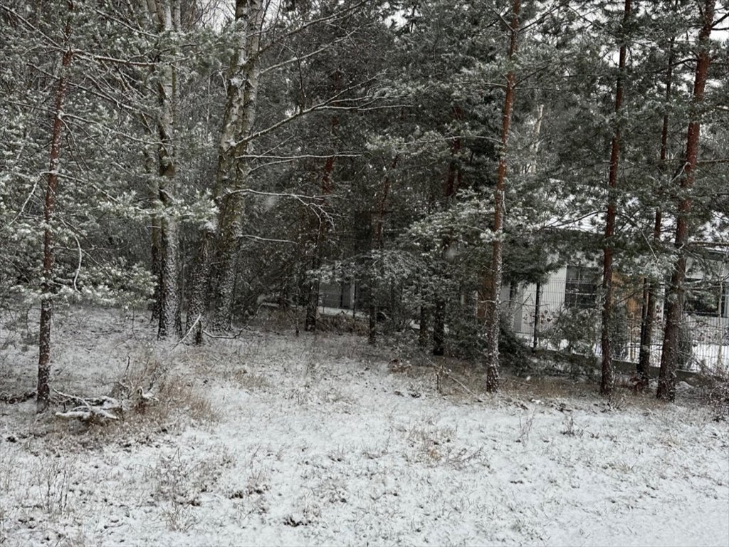 Działka budowlana na sprzedaż Rozalin  1 500m2 Foto 2