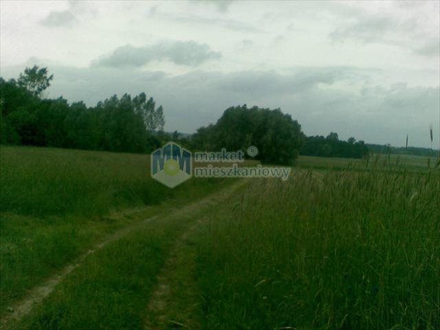 Działka 10 200 m² z warunkami zabudowy, blisko szkoły Nowe Radzikowo  10 201m2 Foto 1