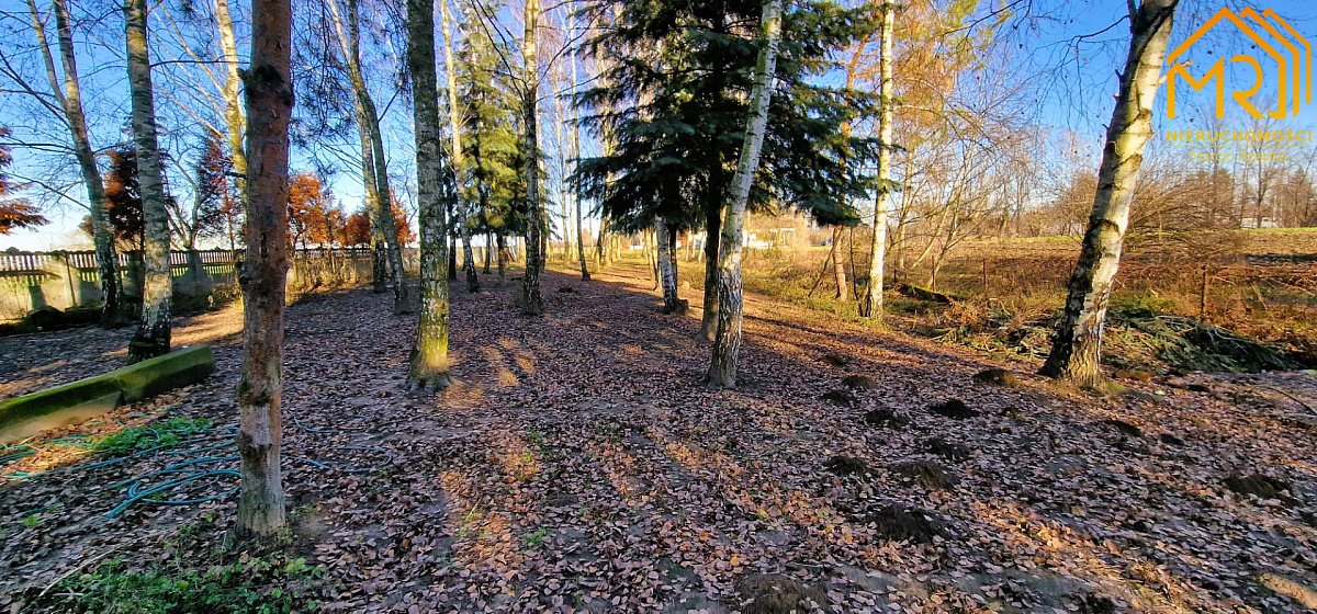 Dom na sprzedaż Łęka Siedlecka  100m2 Foto 19