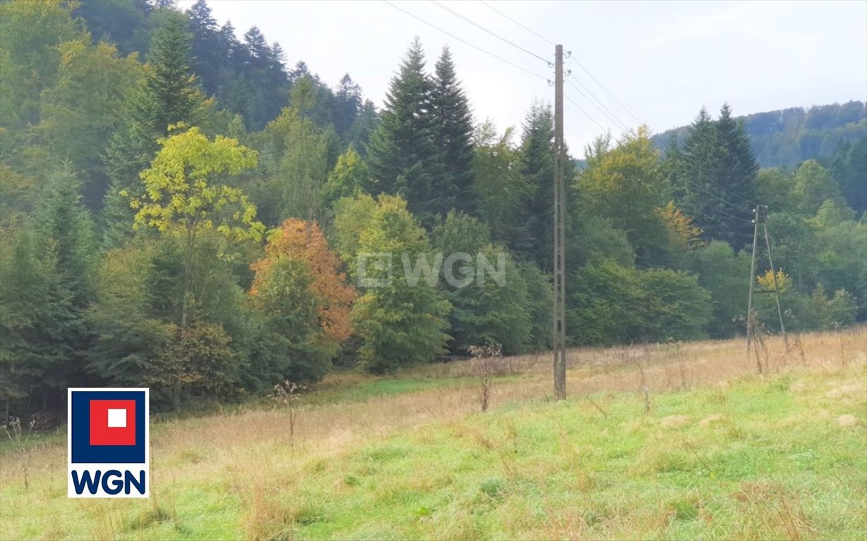 Działka rekreacyjna na sprzedaż Wisła, Jawornik  19 000m2 Foto 1