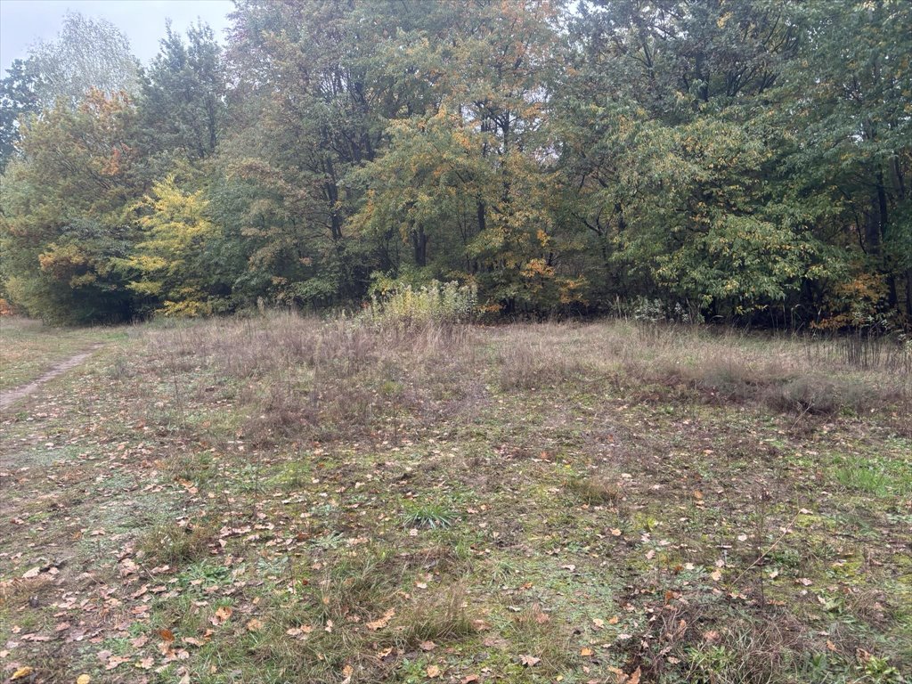 Zdjęcie 7