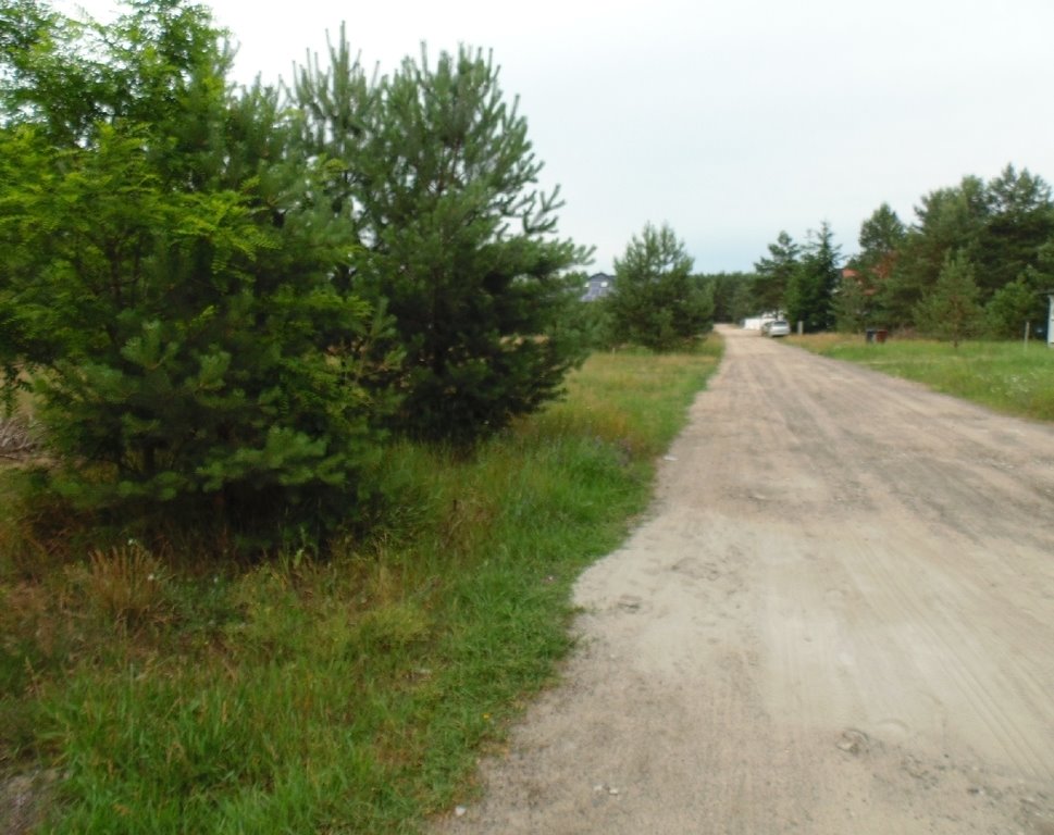 Działka budowlana na sprzedaż Rozgarty, Grzybowa  1 244m2 Foto 5