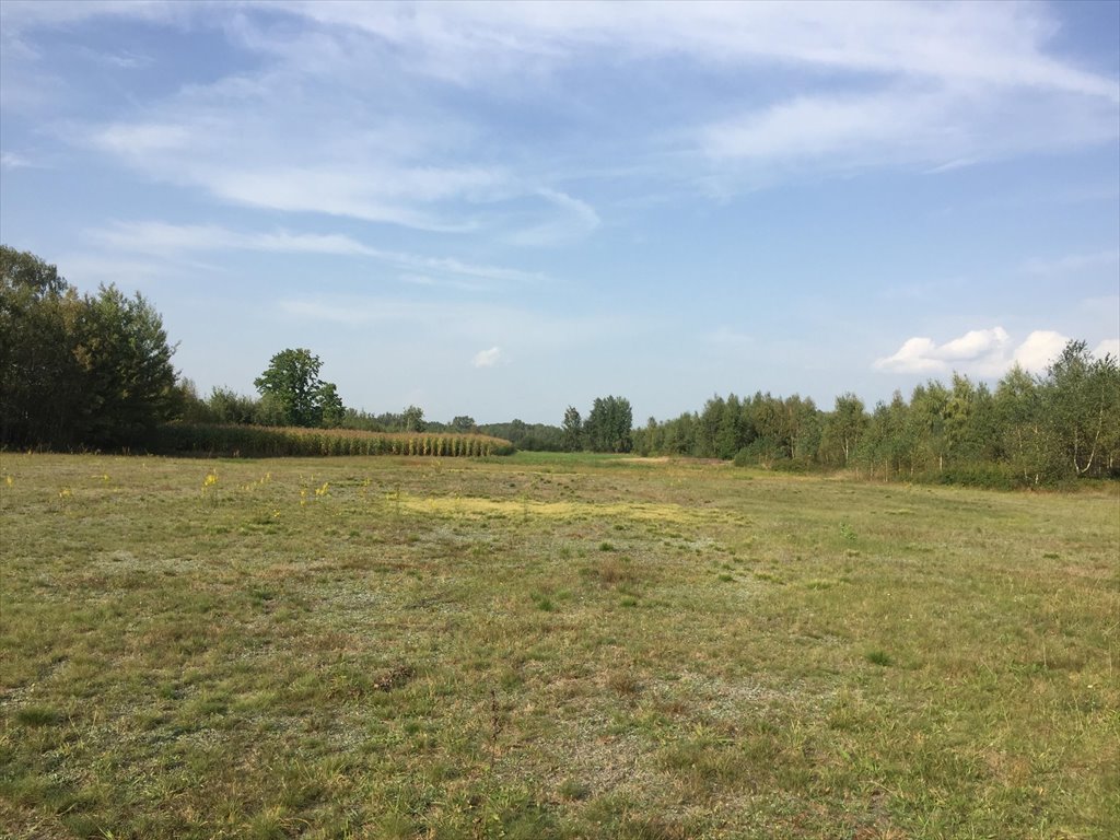 Działka rolna 34 000 m² pod zabudowę i rekreację Klembów  34 000m2 Foto 1
