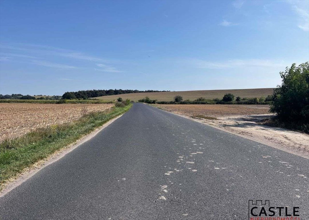 Działka budowlana na sprzedaż Gostyń  56 000m2 Foto 9