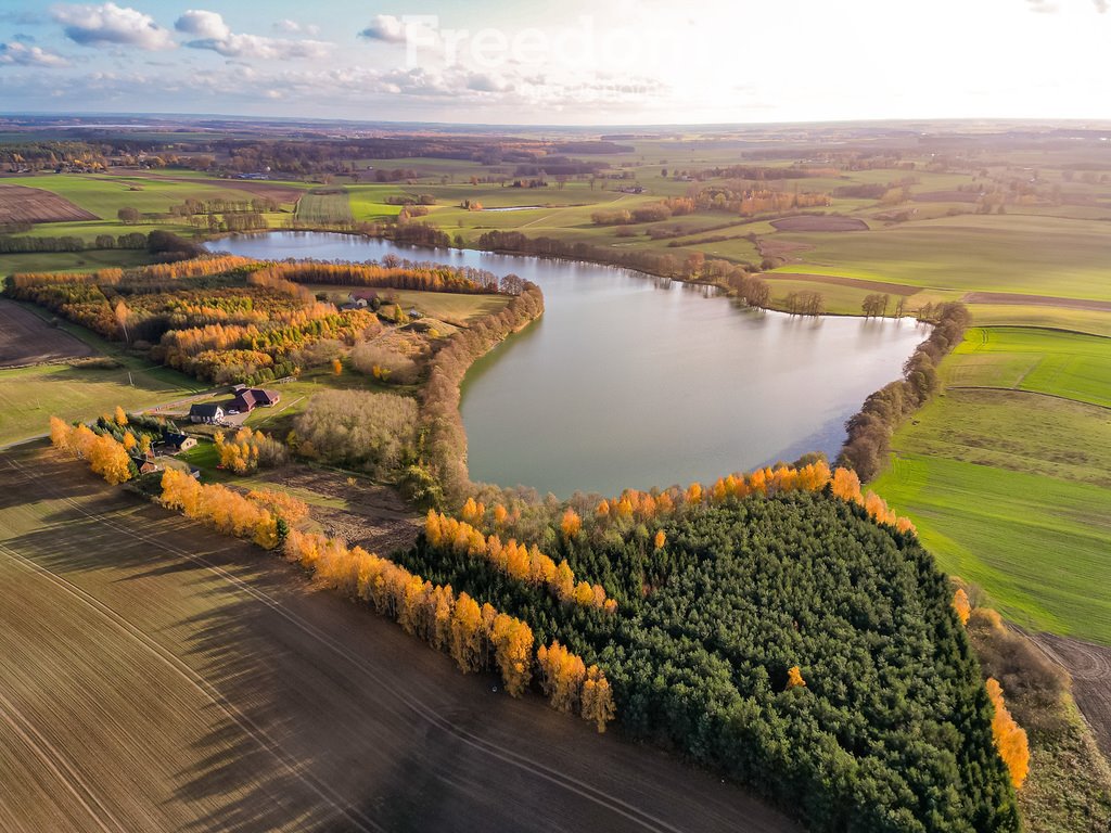 Działka rolna na sprzedaż Laseczno, Laseczno Małe  3 000m2 Foto 3