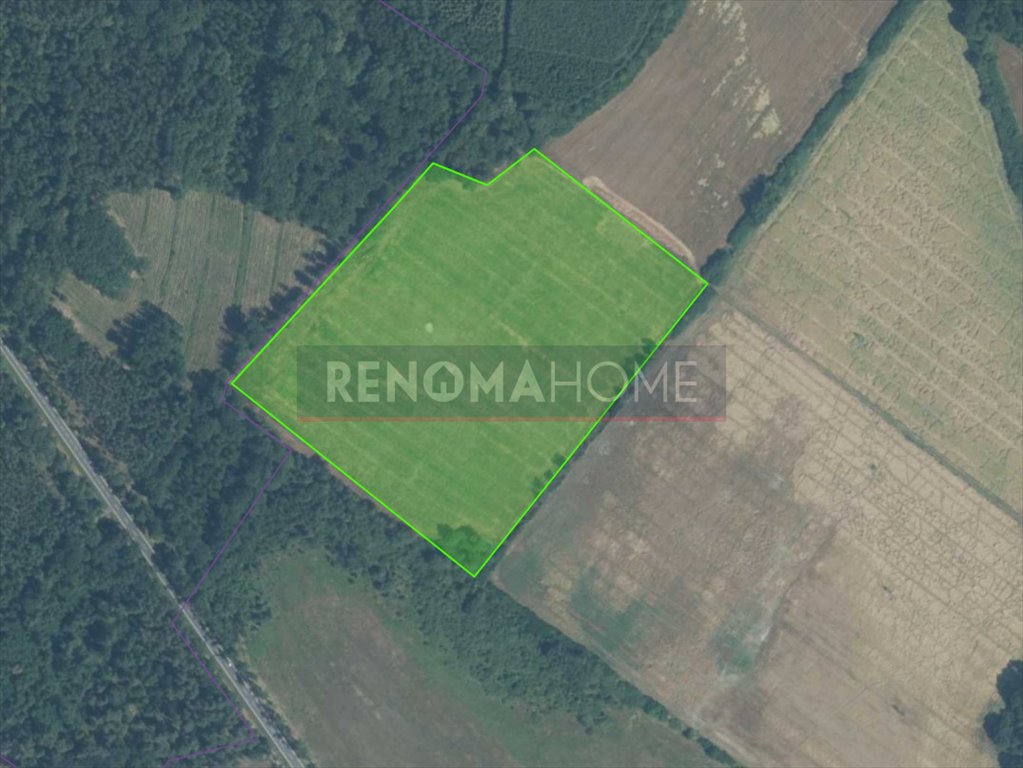 Działka rolna 57 800 m² z dobrym dojazdem (Kawice) Kawice  57 800m2 Foto 1