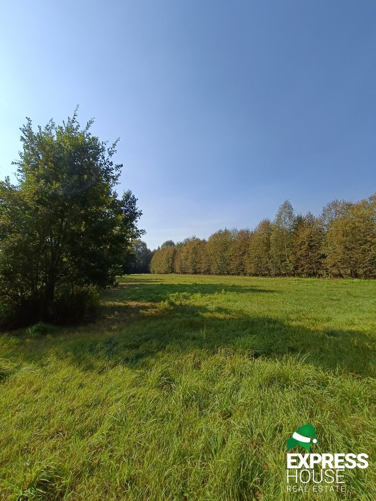 Działka budowlana na sprzedaż Celinów, Polnych Kwiatów  5 148m2 Foto 6