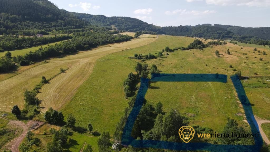 Działka budowlana na sprzedaż Łomnica  9 500m2 Foto 4