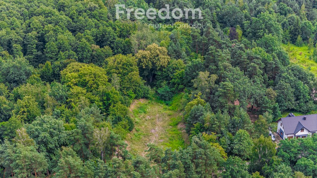 Działka budowlana na sprzedaż Góra Kalwaria  15 700m2 Foto 11