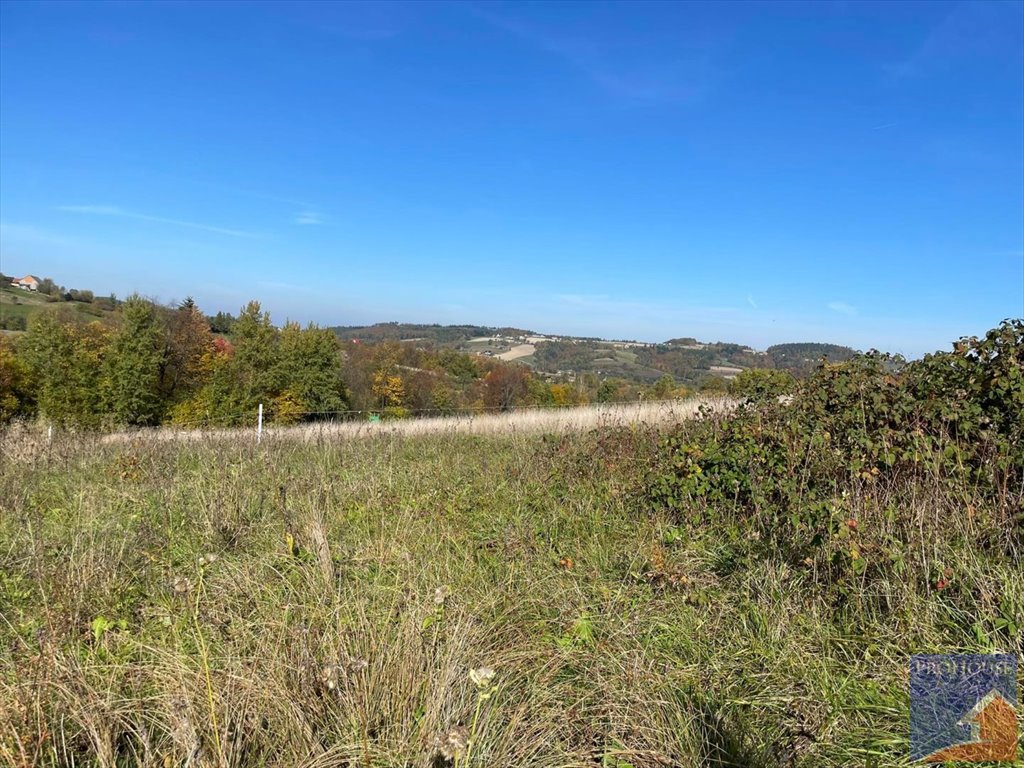 Działka rolna 9,1 ha pod Górą Kostrza - polecam! Kostrza  9 100m2 Foto 1