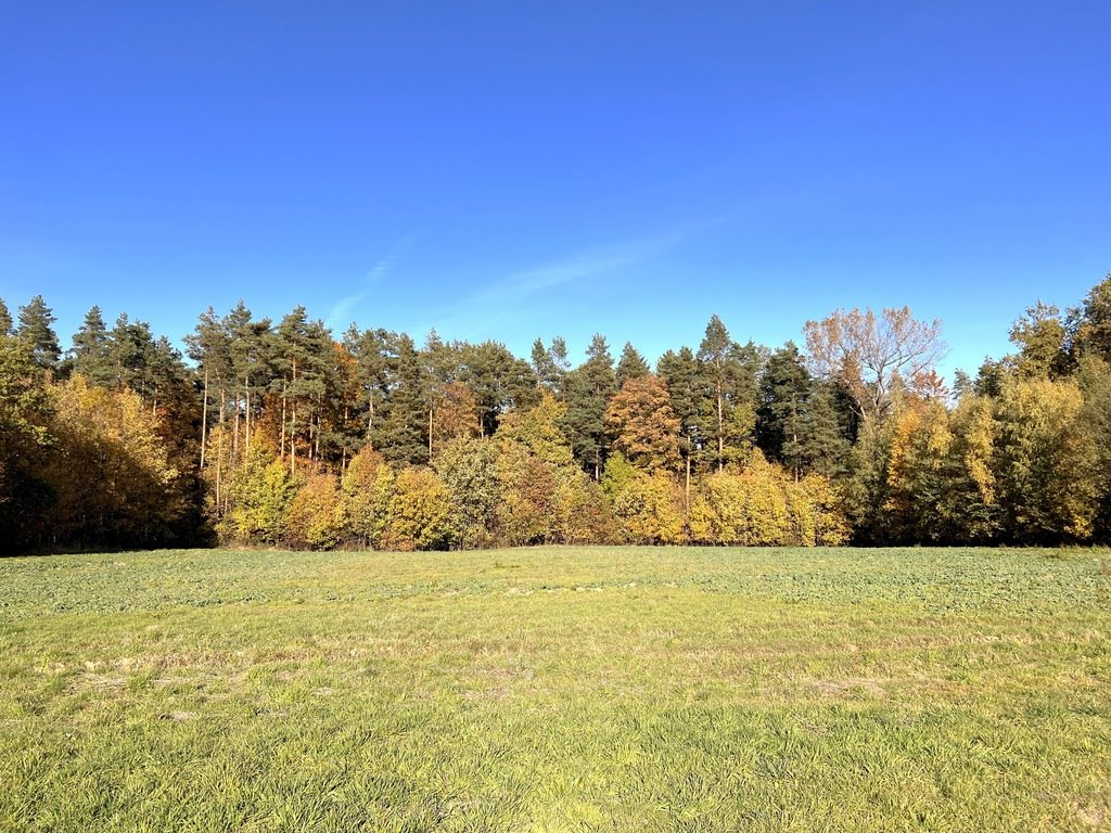 Działka budowlana na sprzedaż Cierpisz  1 670m2 Foto 8