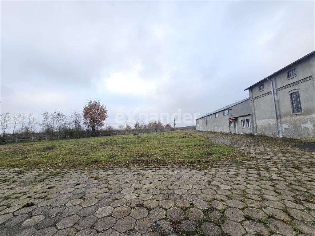 Magazyn na sprzedaż Wierzchosławice  1 410m2 Foto 11