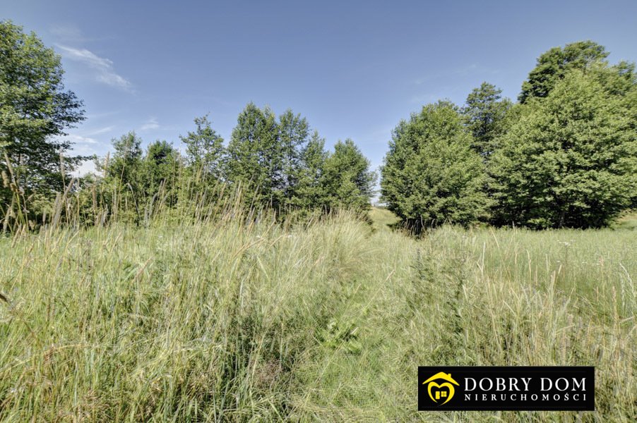 Działka rolna na sprzedaż Jałowo  30 000m2 Foto 16