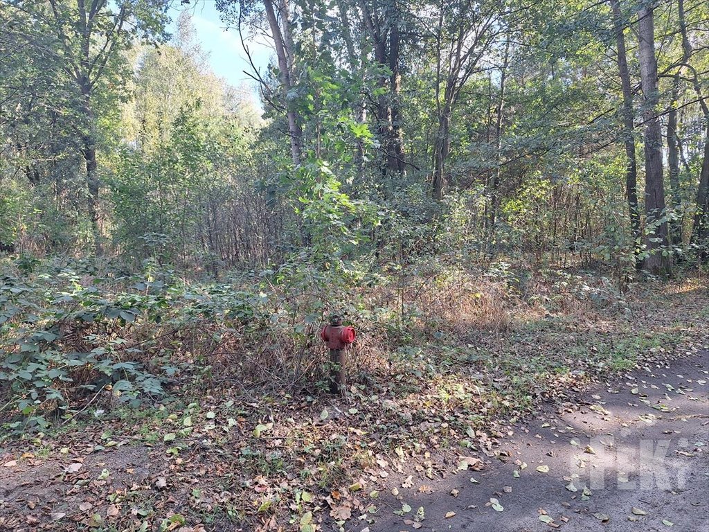 Działka budowlana na sprzedaż Franciszków  2 255m2 Foto 1