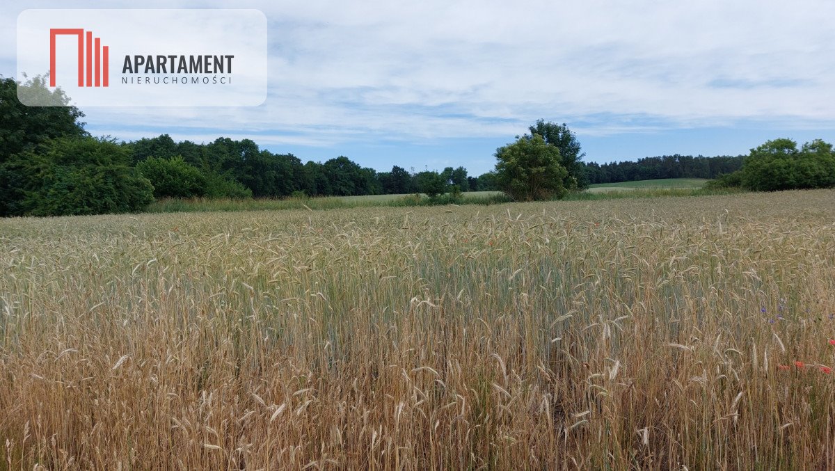 Działka budowlana na sprzedaż Śmiłowo  1 000m2 Foto 6