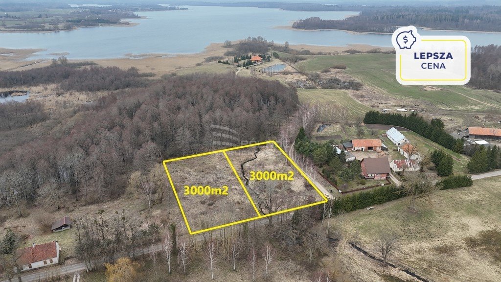 Działka rolna na sprzedaż Rogojny  3 000m2 Foto 1