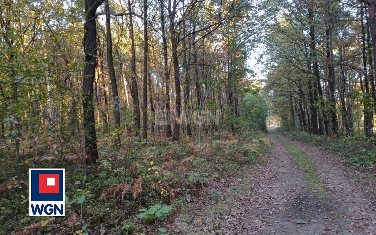 Działka leśna na sprzedaż Myszków, Nowa Wieś  1 959m2 Foto 6