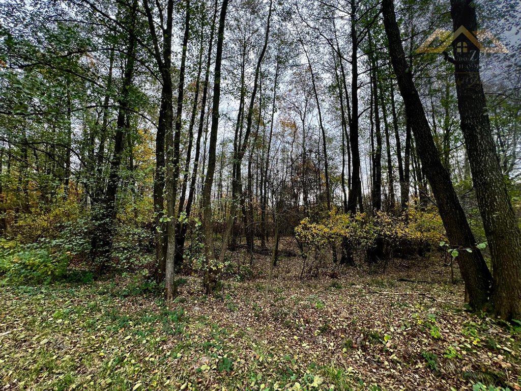 Działka budowlana na sprzedaż Biadoliny Radłowskie  6 800m2 Foto 3