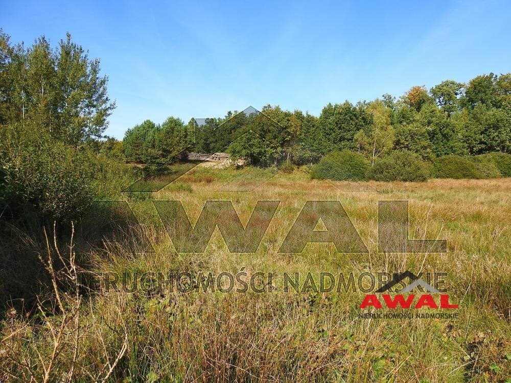 Działka gospodarstwo rolne na sprzedaż Leśniewo, Mechowska  25 200m2 Foto 10