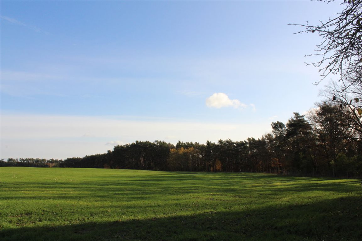 Działka budowlana na sprzedaż Mesze  1 000m2 Foto 8