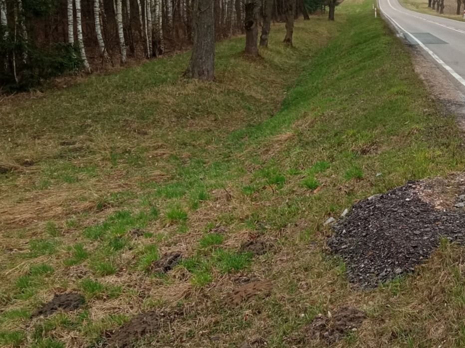 Działka gospodarstwo rolne na sprzedaż Knyszyn  10 500m2 Foto 3