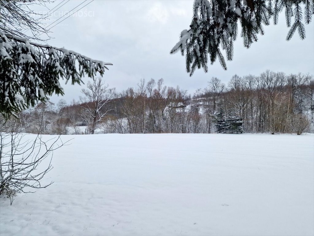 Działka rolna na sprzedaż Rzepiennik Marciszewski  15 000m2 Foto 15