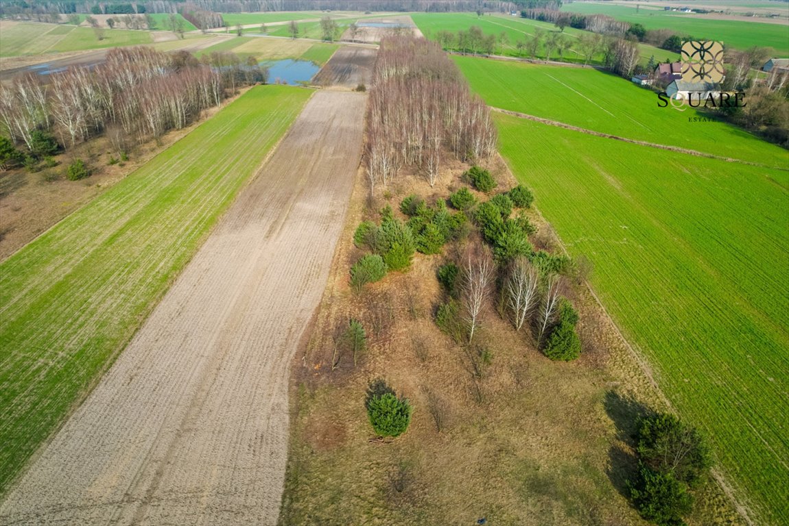 Działka budowlana na sprzedaż Krajęczyn  1 200m2 Foto 8