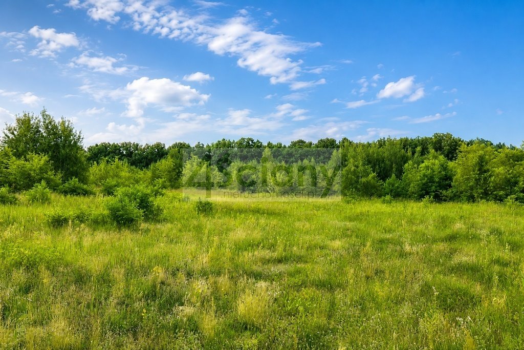 Działki budowlane i rolne 37 271 m² w Runowie - spokojna okolica Runów  37 271m2 Foto 1