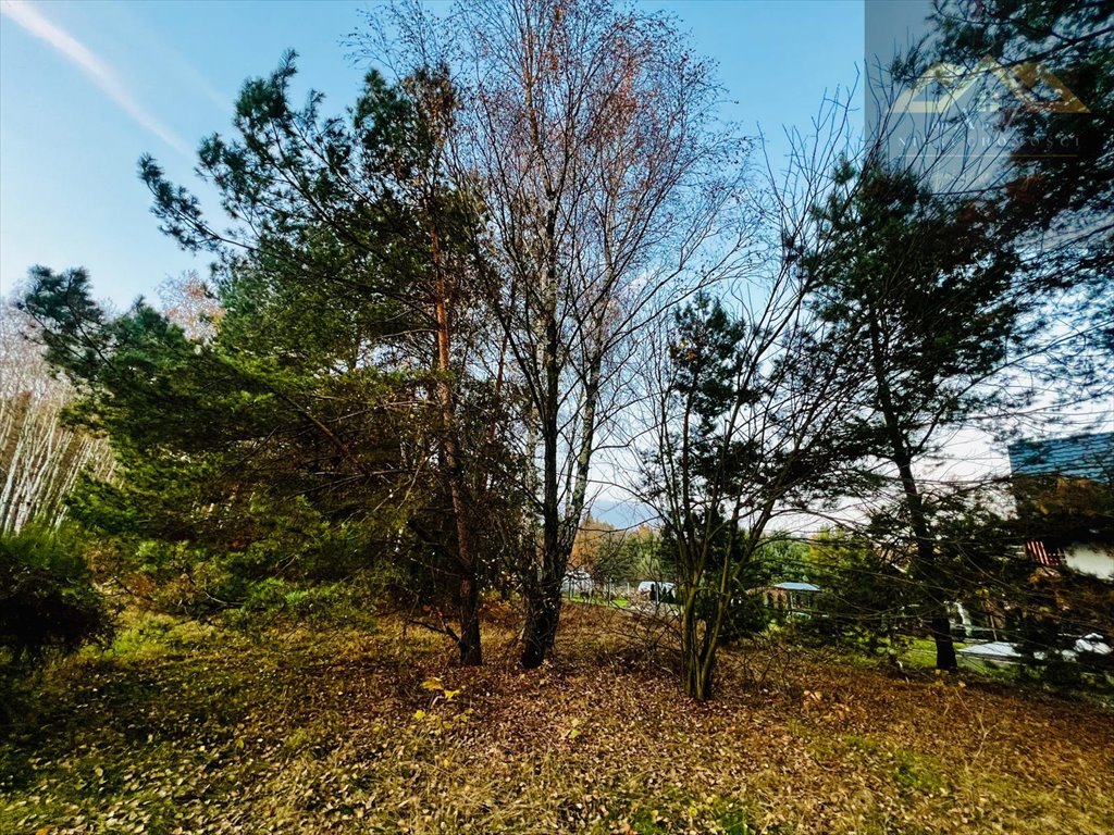 Działka budowlana na sprzedaż Perła  2 300m2 Foto 3