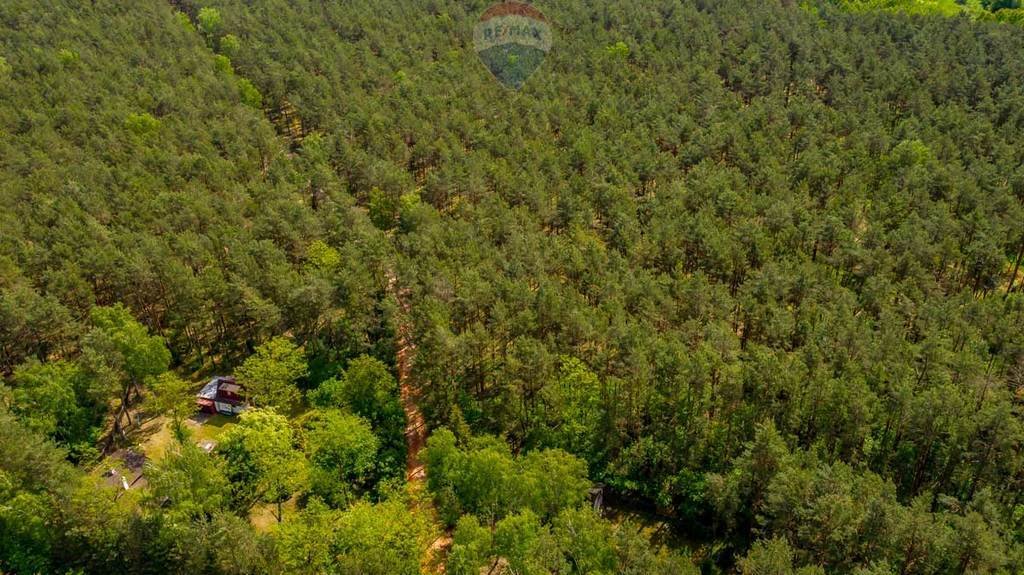 Działka leśna z prawem budowy na sprzedaż Rynia, Ignacego Paderewskiego  4 461m2 Foto 5