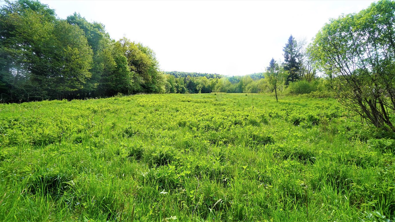 Działka budowlana na sprzedaż Hańczowa  28 900m2 Foto 1