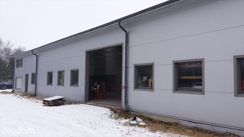 Lokal użytkowy na wynajem Olsztyn, Os. Grunwaldzkie 1 296m2 Foto 1 Lokal użytkowy na wynajem Olsztyn, Os. Grunwaldzkie 1 296m2 Foto 1