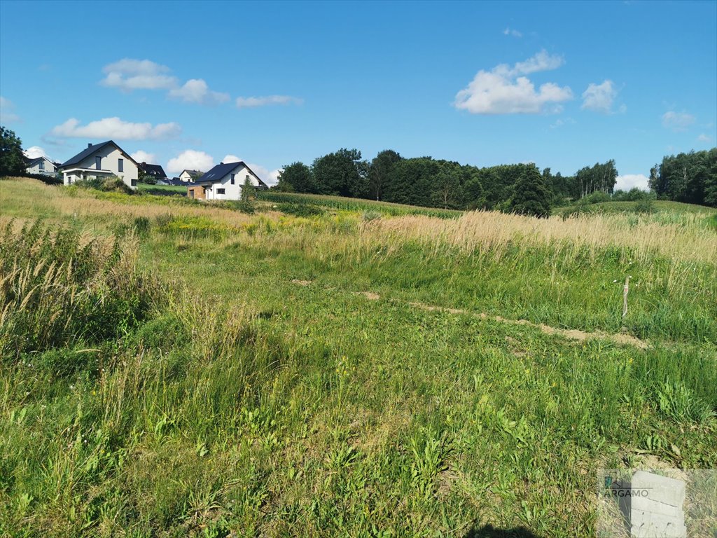 Działka budowlana na sprzedaż Wodzisław Śląski  2 084m2 Foto 1