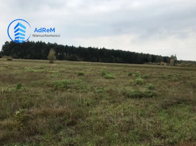 Działka rolna na sprzedaż Mieszkowo  5 800m2 Foto 1