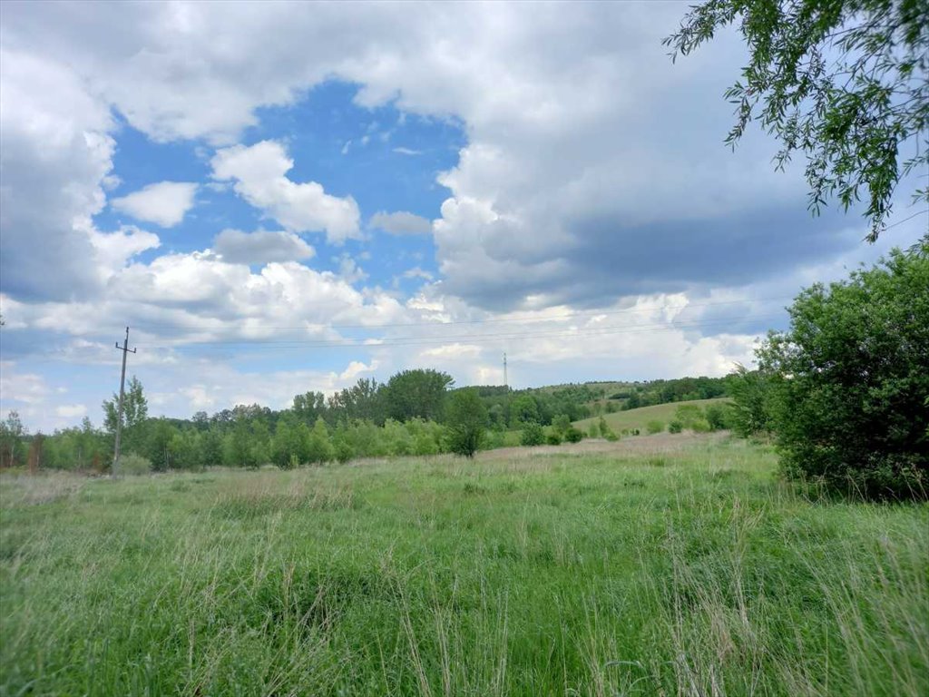 Działka budowlana na sprzedaż Chwaliszów, Chwaliszów  52 000m2 Foto 2