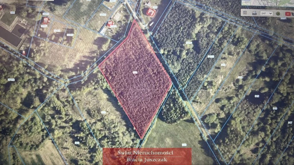 Działka rekreacyjna 1,52 ha las sosnowy, Lubsza Lubsza  15 200m2 Foto 1