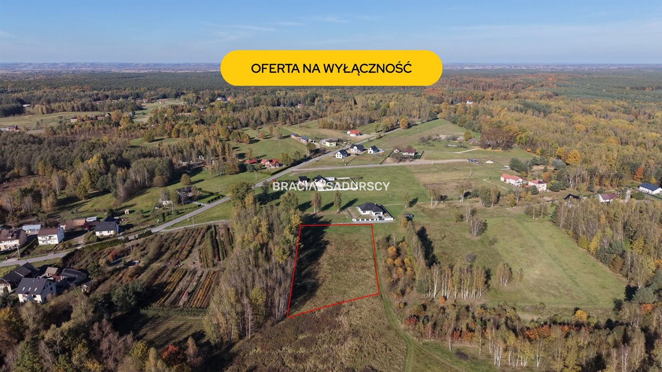 Działka 44 arów pod dom lub inwestycję, las, prywatność Buczków  4 400m2 Foto 1