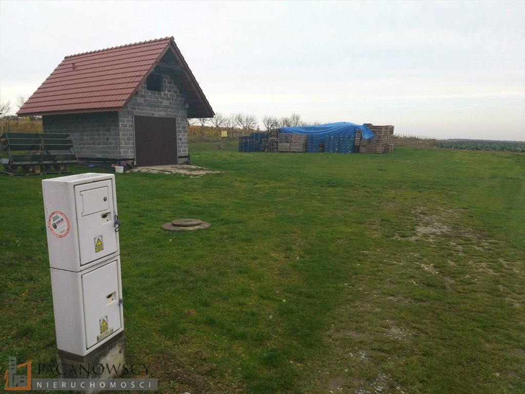 Zdjęcie 4