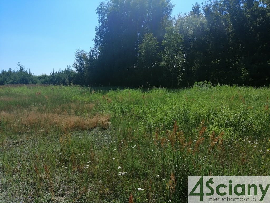 Działka budowlana na sprzedaż Grobice  1 901m2 Foto 8